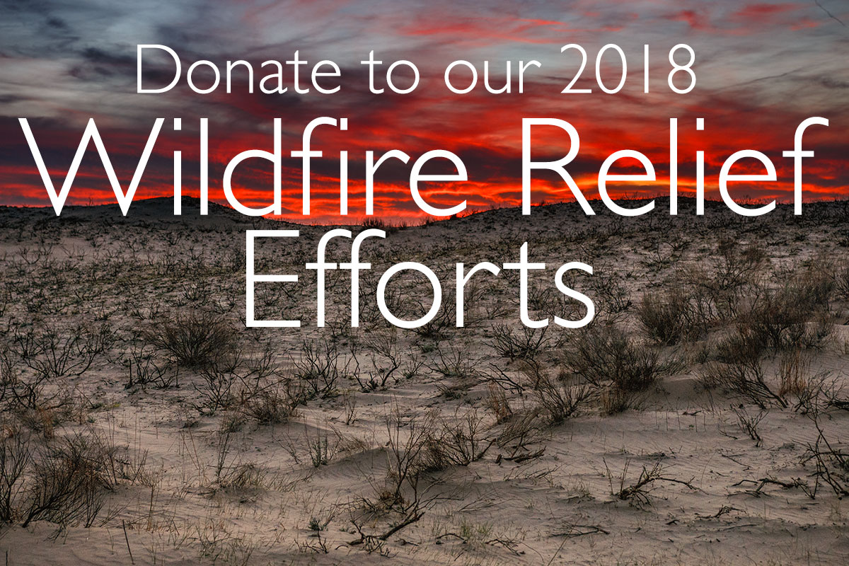 Donate to the Oklahoma Farming & Ranching Foundation's 2018 Fire Relief Efforts