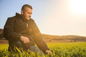 Russ Jackson looks at winter wheat on his KIowa County farm.